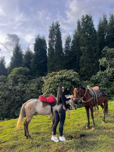 Experiencia de cabalgata en Caldas, Antioquia